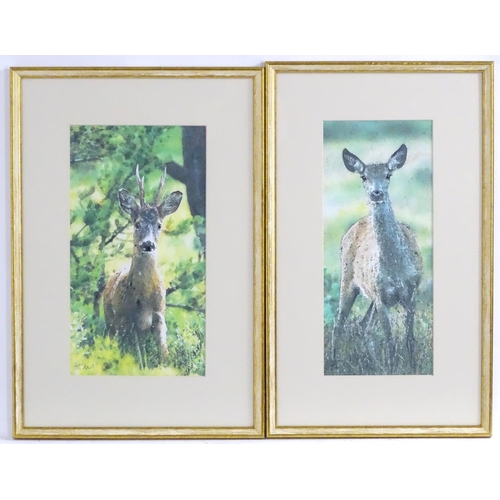 213 - Paul, 20th century, A pair of over painted prints on watercolour paper, Deer in woodland. Signed low... 