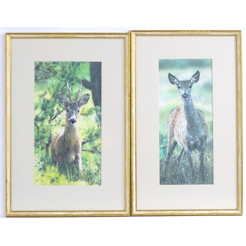 213 - Paul, 20th century, A pair of over painted prints on watercolour paper, Deer in woodland. Signed low... 