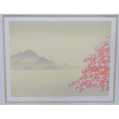 222 - A signed limited edition print titled Lake Blossom with mountains, by Jan King (Australian). Signed,... 