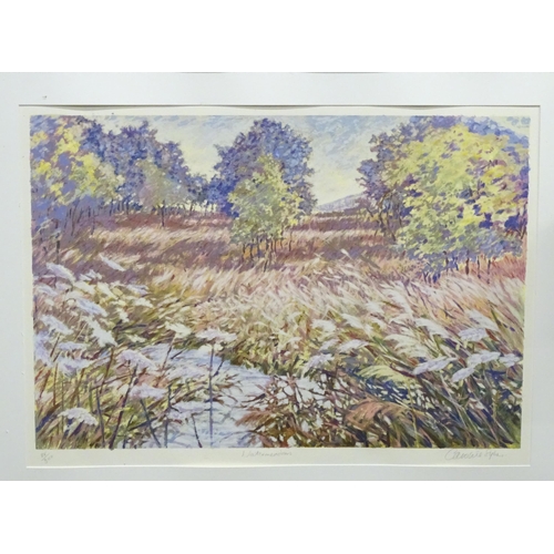 223 - A signed limited edition print titled Water Meadows by Caroline Sykes. Signed, titled and numbered 1... 