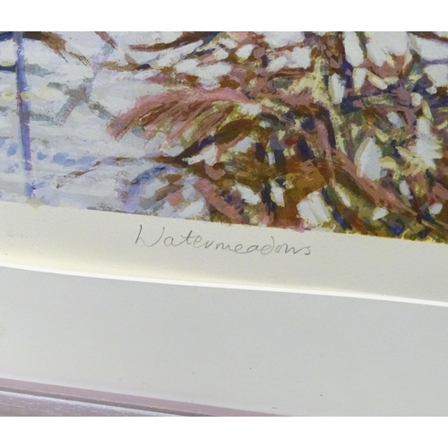 223 - A signed limited edition print titled Water Meadows by Caroline Sykes. Signed, titled and numbered 1... 