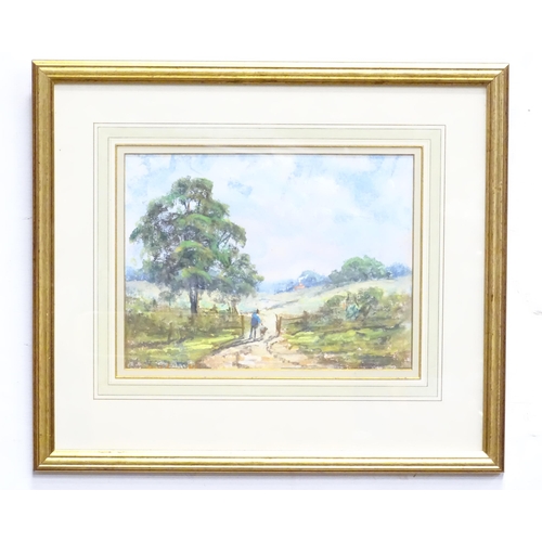 248 - A pastel landscape by Peter Coombs titled Wrest Park depicting a figure and dog walking in parkland.... 