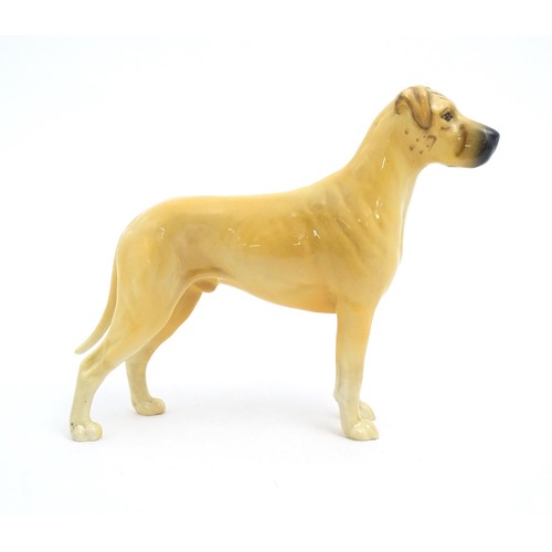 132 - A Beswick model of a Great Dane dog, Champion Ruler of Ouborough. Marked under. Approx. 6 1/2