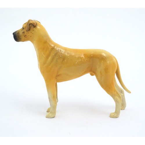 132 - A Beswick model of a Great Dane dog, Champion Ruler of Ouborough. Marked under. Approx. 6 1/2