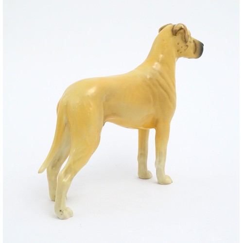 132 - A Beswick model of a Great Dane dog, Champion Ruler of Ouborough. Marked under. Approx. 6 1/2