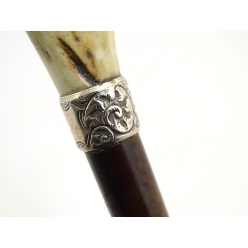 890 - A 19thC walking stick with antler handle, tapered shank, brass ferrule and silver collar, hallmarked... 