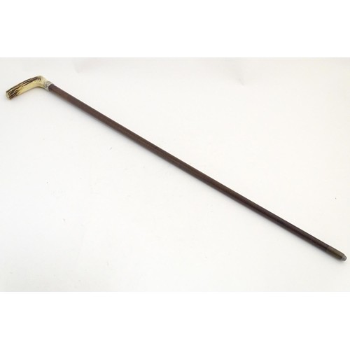 890 - A 19thC walking stick with antler handle, tapered shank, brass ferrule and silver collar, hallmarked... 