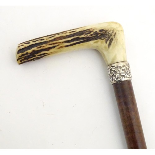 890 - A 19thC walking stick with antler handle, tapered shank, brass ferrule and silver collar, hallmarked... 