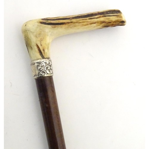 890 - A 19thC walking stick with antler handle, tapered shank, brass ferrule and silver collar, hallmarked... 