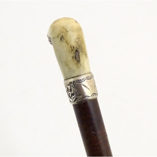 890 - A 19thC walking stick with antler handle, tapered shank, brass ferrule and silver collar, hallmarked... 