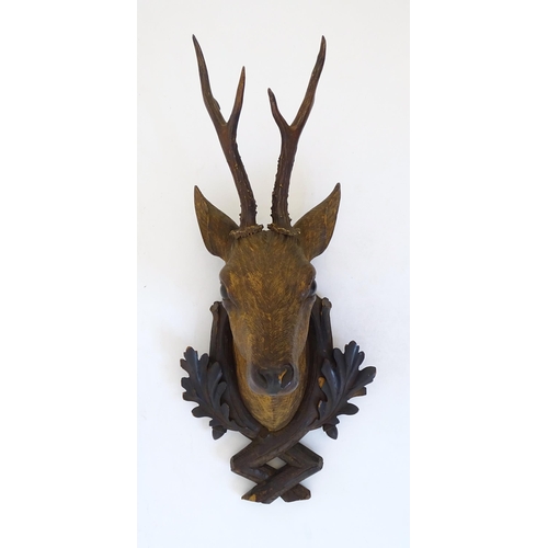 884 - A 19thC Continental Black Forest carved wooden Roe Buck head. Approx. 24 1/2