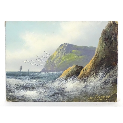 1245 - W. Freezor, 20th century, Oil on card, A seascape with crashing waves, birds in flight and boats bey... 
