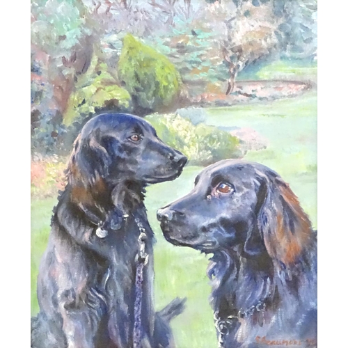 68 - S. Beaumont, 20th century, English School, Oil on canvas, Two black retriever dogs in a garden. Sign... 