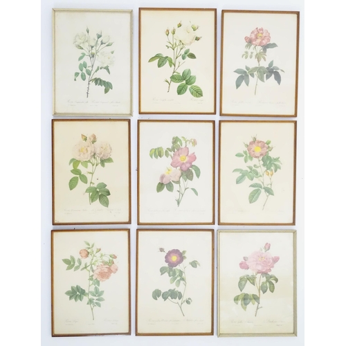 9 - Nine French botanical / flower prints after Pierre-Joseph Redoute, to include La Duchesse d' Orleans... 