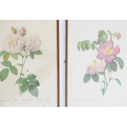9 - Nine French botanical / flower prints after Pierre-Joseph Redoute, to include La Duchesse d' Orleans... 