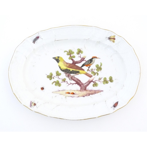 64 - A Meissen style plate of oval form with bird decoration to centre and insect detail to border. Marke... 