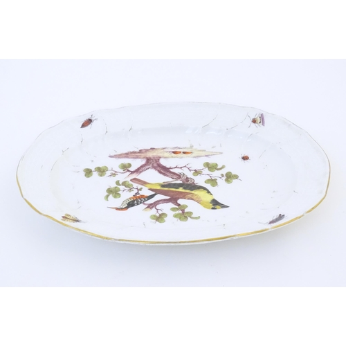 64 - A Meissen style plate of oval form with bird decoration to centre and insect detail to border. Marke... 