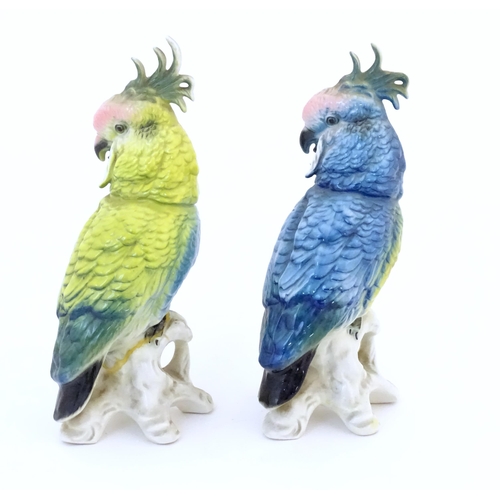 96 - Two Karl Ens models of parrots / cockatiels in blue and yellow with pink heads. Marked under. Approx... 