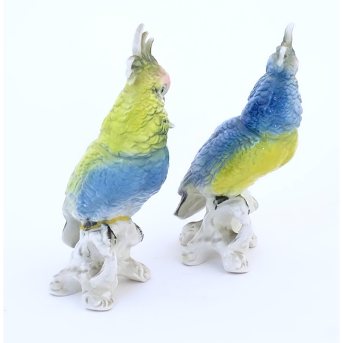 96 - Two Karl Ens models of parrots / cockatiels in blue and yellow with pink heads. Marked under. Approx... 