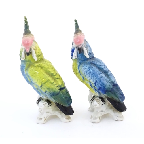 96 - Two Karl Ens models of parrots / cockatiels in blue and yellow with pink heads. Marked under. Approx... 