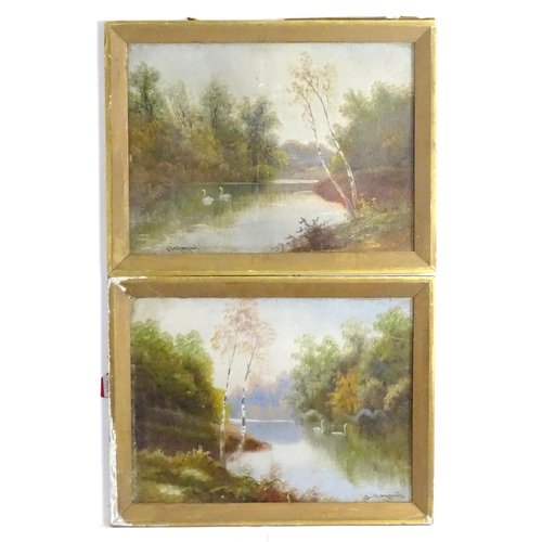 1806 - A. Maynard, 20th century, Oil on card, A pair of wooded river scenes with swans. Signed lower. Appro... 