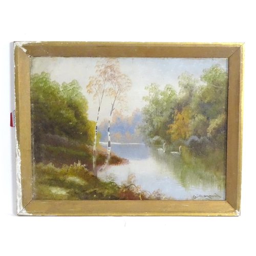 1806 - A. Maynard, 20th century, Oil on card, A pair of wooded river scenes with swans. Signed lower. Appro... 