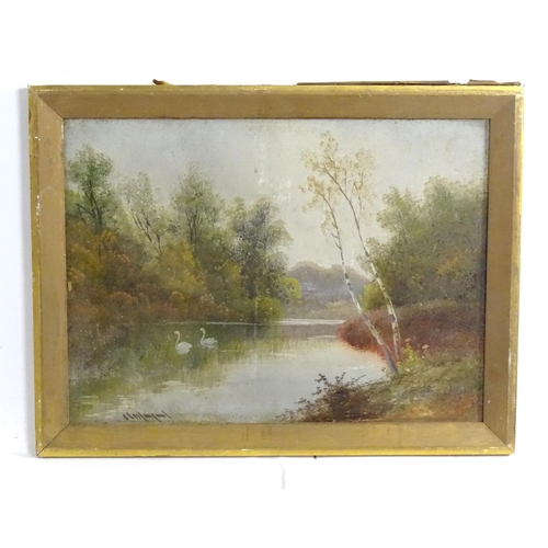 1806 - A. Maynard, 20th century, Oil on card, A pair of wooded river scenes with swans. Signed lower. Appro... 