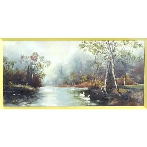 1815 - K. Jackson, Early 20th century, Oil on canvas, A wooded river landscape with two swans. Signed and d... 