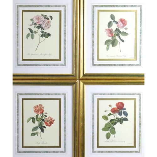 2001A - After Georg Dionysius Ehret (1708-1770), Four limited edition colour prints from the Victoria & Albe... 