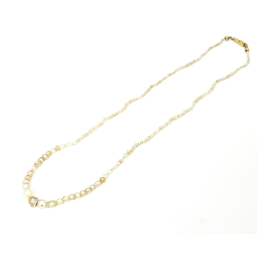 648 - A graduated pearl necklace with yellow metal clasp. Approx. 13 1/2