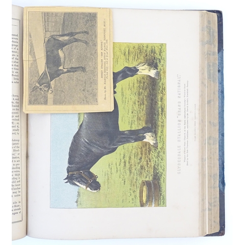 917 - Book: Modern Practical Farriery - A Complete System of the Veterinary Art, by W. J. Miles. Published... 