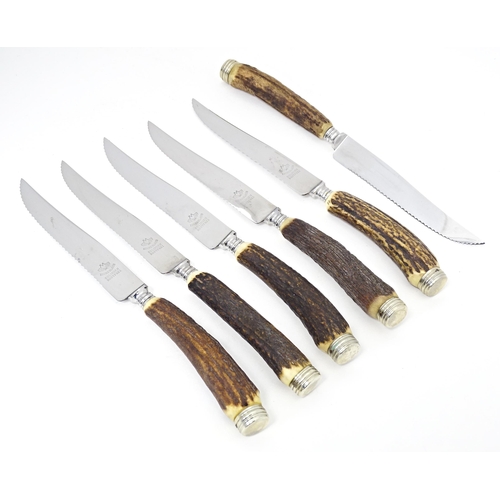 519 - A boxed set of 6 antler handled steak knives. The blades marked Eichenlaub Solingen Rostfrei. Approx... 