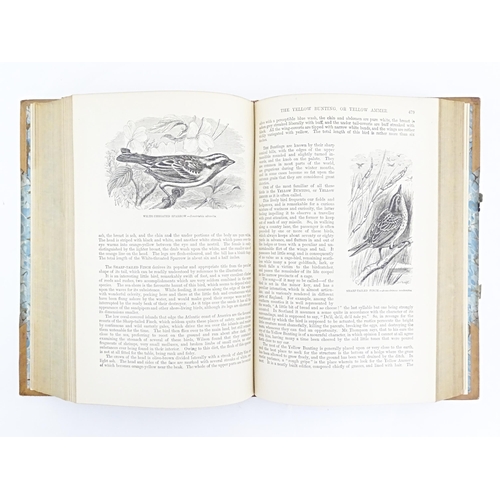 846 - Book: The Illustrated Natural History - volume 2 - Birds, by J. G. Wood. Published by George Routled... 