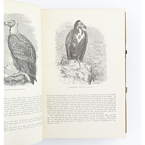 846 - Book: The Illustrated Natural History - volume 2 - Birds, by J. G. Wood. Published by George Routled... 