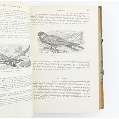 846 - Book: The Illustrated Natural History - volume 2 - Birds, by J. G. Wood. Published by George Routled... 