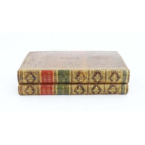 847 - Books: Fables, by John Gay, volumes 1-2, by John Gay. Printed for John Stockdale, London, 1793 (2)