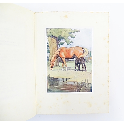 875 - Books: Black Beauty - The Autobiography of a Horse, by Anna Sewell, illustrated by Cecil Aldin, c. 1... 