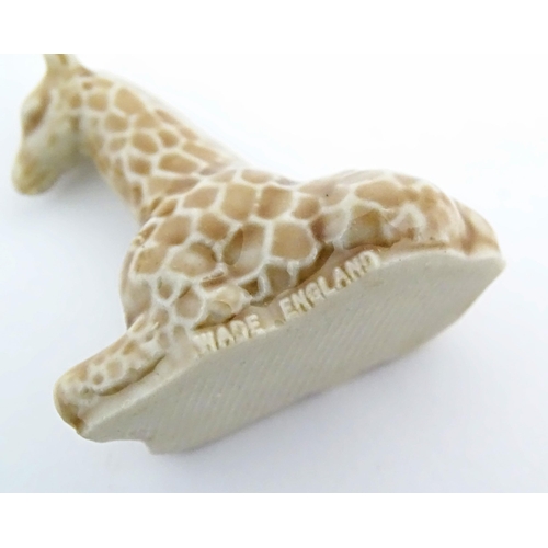 138A - A quantity of Wade Whimsies etc. to include to include dolphin, hedgehog, owl, dogs, birds, giraffe,... 