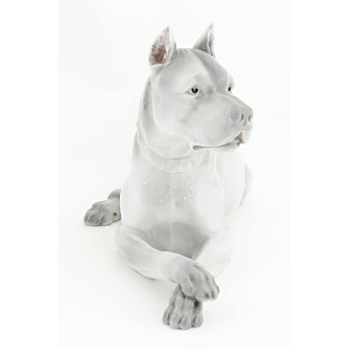 129 - A Continental model of a Great Dane dog. Indistinctly signed under. Approx. 13 1/2