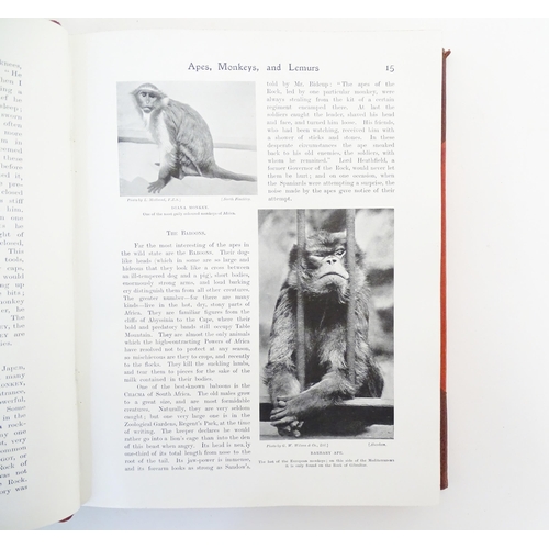 904 - Books: Four assorted books comprising The Living Animals of the World, volumes 1 - 2; The Works of A... 