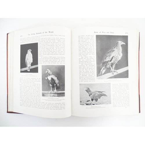 904 - Books: Four assorted books comprising The Living Animals of the World, volumes 1 - 2; The Works of A... 