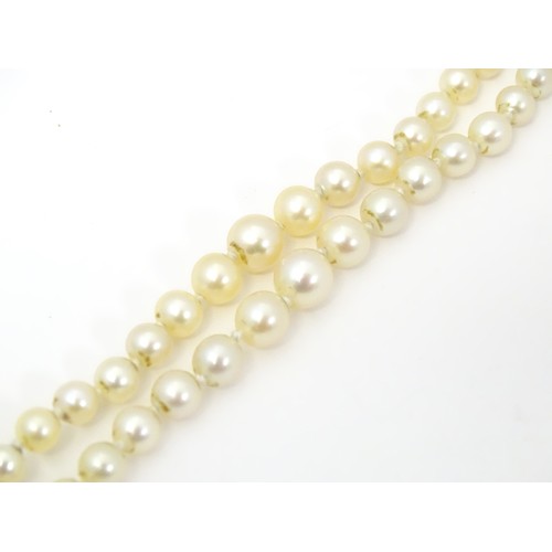 730 - A two strand graduated pearl necklace with yellow metal clasp set with agate and seed pearls. Approx... 