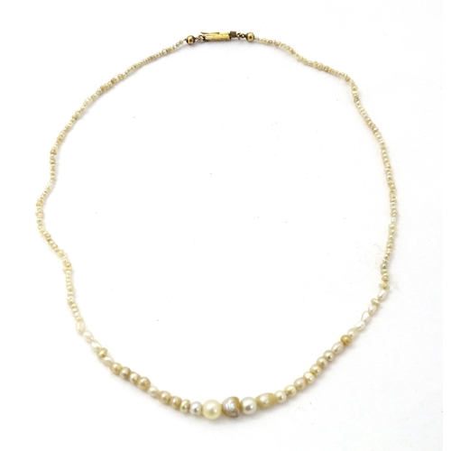 648 - A graduated pearl necklace with yellow metal clasp. Approx. 13 1/2