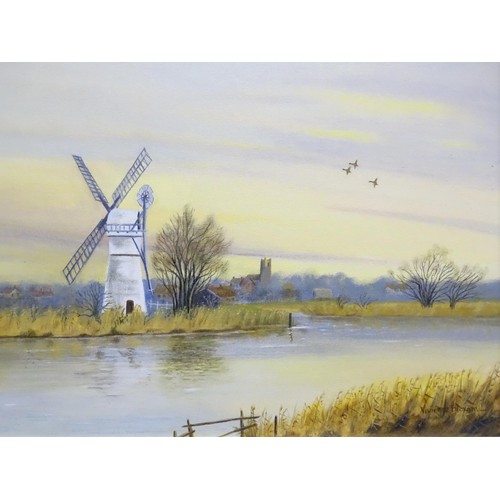 308 - Vivienne Bloxam, 20th century, Oil on canvas board, Windmill in the Norfolk Broads. Signed lower rig... 