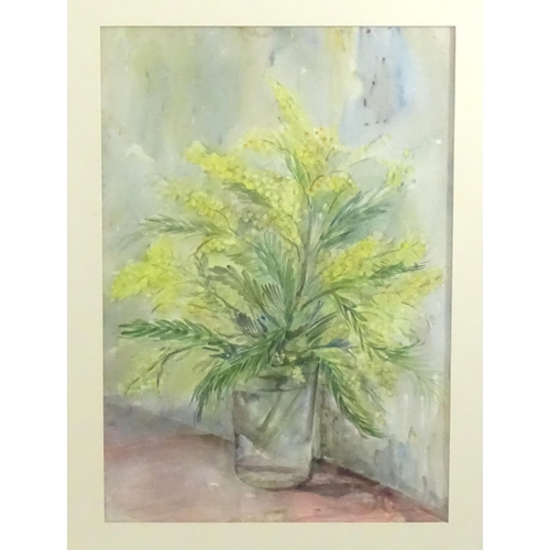 316 - Buck, 20th century, Watercolour, A still life study depicting a mimosa flowers and foliage in a glas... 