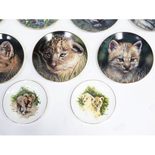 365 - A quantity of limited edition collectors plates to include David Shepherd Wedgwood Zebra Foal, Cheet... 