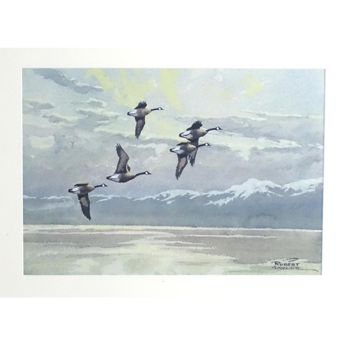 2001 - Robert Taylor, 20th century, Watercolour, Canada geese in flight. Signed lower right. Approx. 14 1/2... 