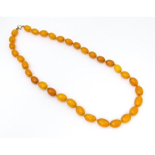 721 - A vintage necklace of graduated butterscotch amber coloured beads/ The smallest bead approx 1/2