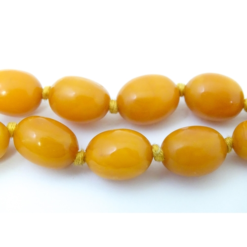 721 - A vintage necklace of graduated butterscotch amber coloured beads/ The smallest bead approx 1/2