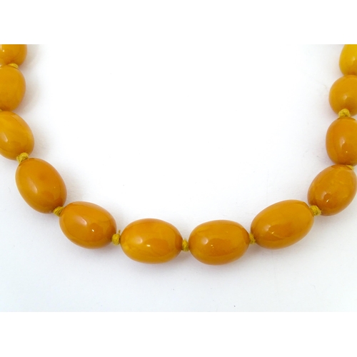 721 - A vintage necklace of graduated butterscotch amber coloured beads/ The smallest bead approx 1/2